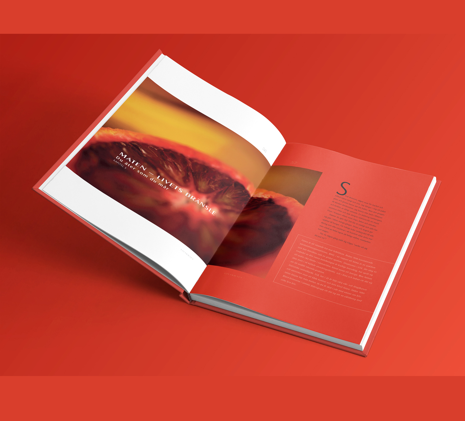 Tanja Denevic, Book design | Whalströms book publishers